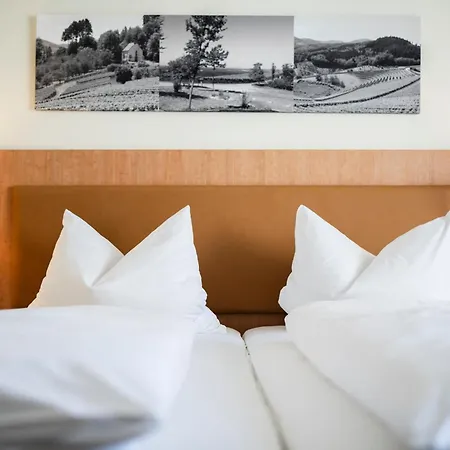 Hotel-gasthof Rose Gæstehus 4*