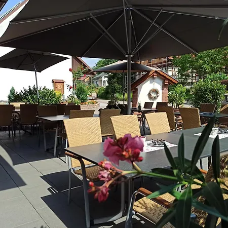 게스트하우스 Hotel-gasthof Rose