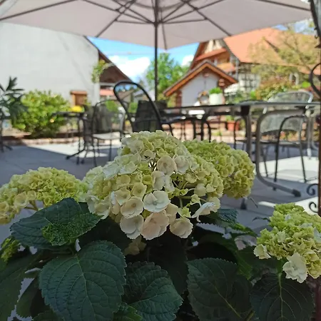 게스트하우스 Hotel-gasthof Rose 3*