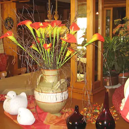 Hotel-gasthof Rose 오버키르히