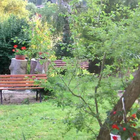 게스트하우스 Hotel-gasthof Rose