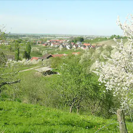 Hotel-gasthof Rose 게스트하우스