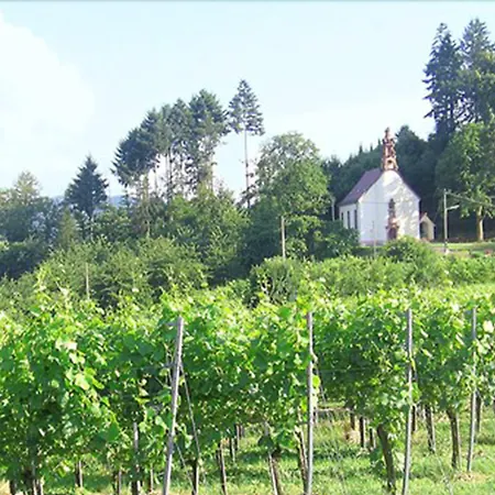 Hotel-gasthof Rose Gæstehus