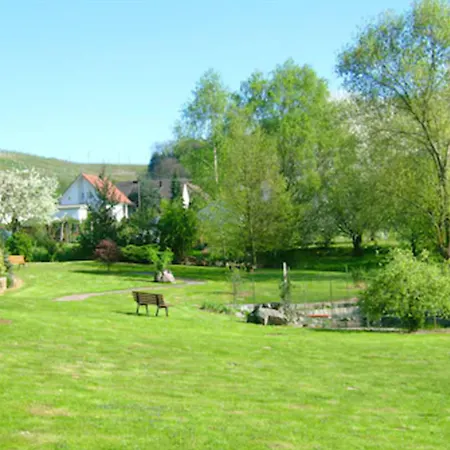 Hotel-gasthof Rose 4* Oberkirch (Baden)