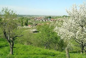 Hotel-gasthof Rose 3*