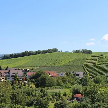 게스트하우스 Hotel-gasthof Rose